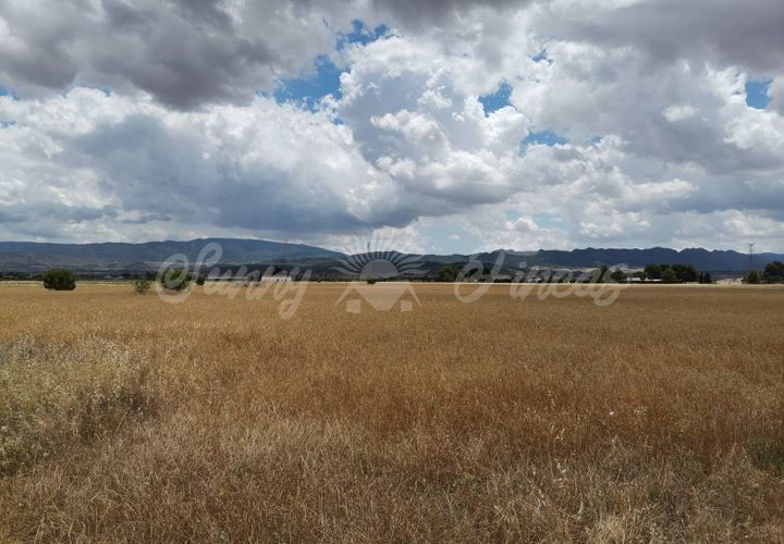 Helårsgrund i Yecla, Murcia, Yecla - € 32.900 | Ref: SF0321 - foto 1